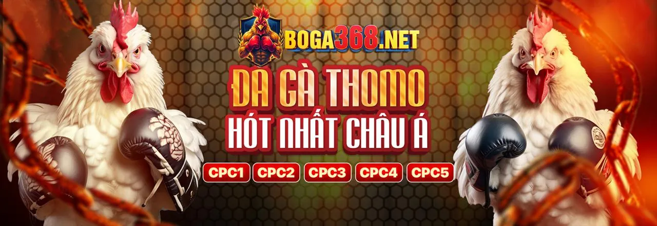 Đá gà trực tuyến kịch tính tại vf55 win