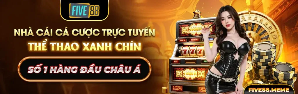 Cá cược thể thao vf55 win